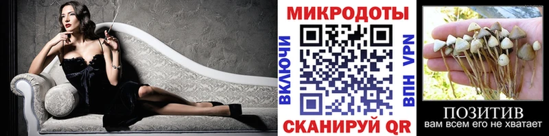 Псилоцибиновые грибы Cubensis Касли
