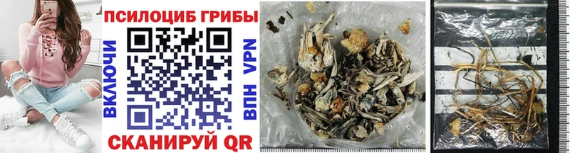 Галлюциногенные грибы мухоморы  Купить где  Касли 